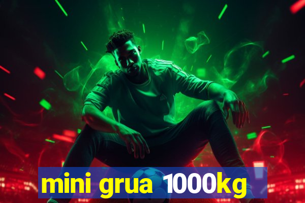 mini grua 1000kg